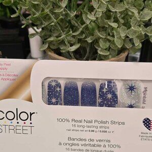 Color Street Winter Nail Design